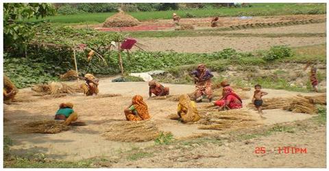 বাংলাদেশের শিল্প, সংস্কৃতি ও সাহিত্য: একটি সমৃদ্ধ ঐতিহ্যের গল্প
