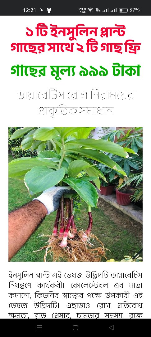দুঃখ বলে কিছু